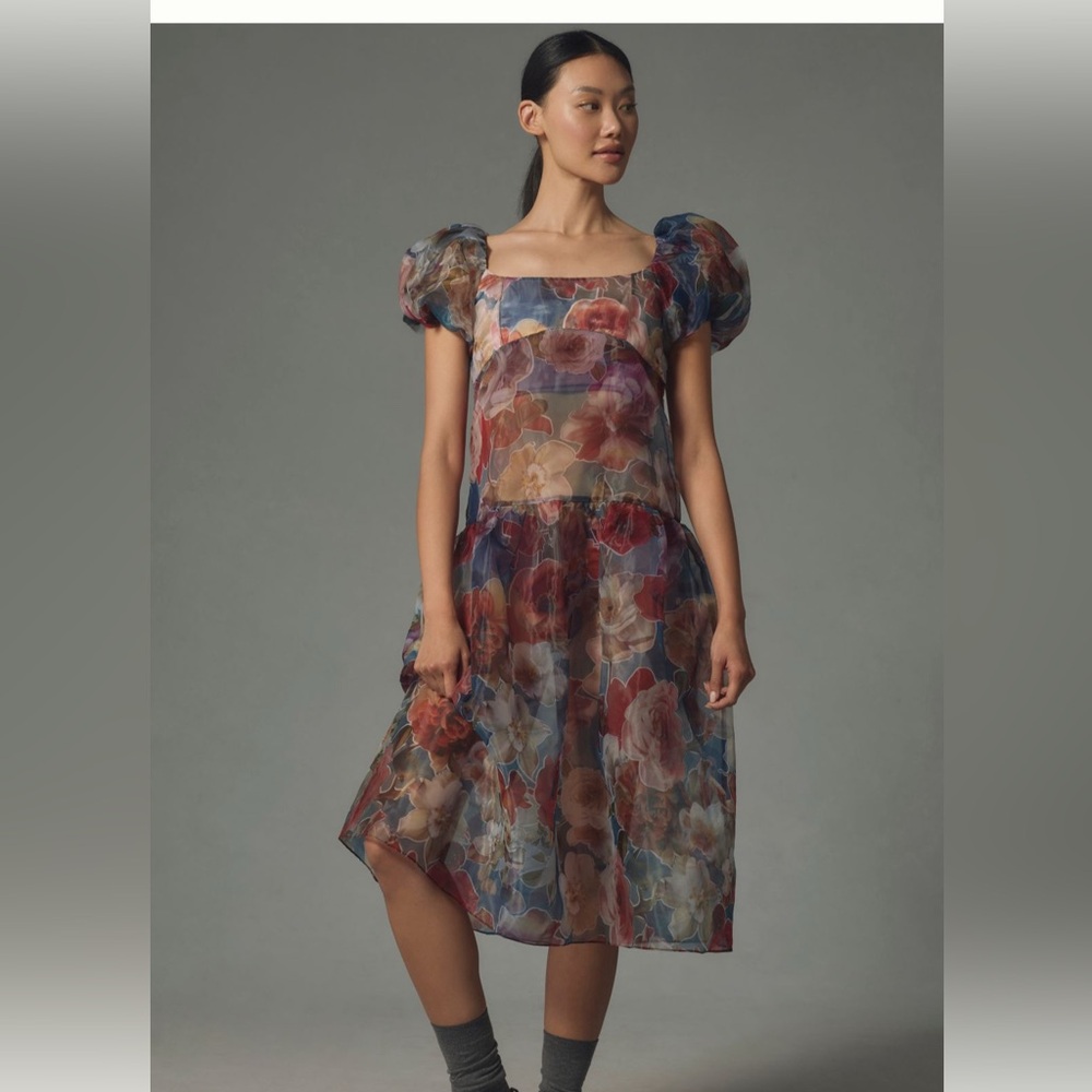Anthropologie Puff-Sleeve Off-The-Shoulder Drop-Waist Sheer Midi Dress Size L